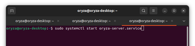 input_start_server_linux