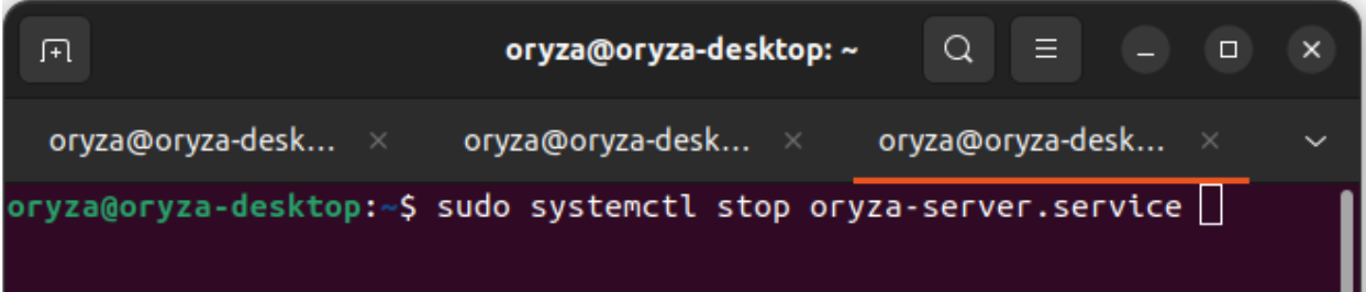 input_stop_server_linux