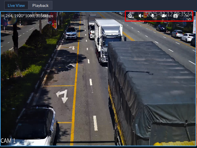 liveview