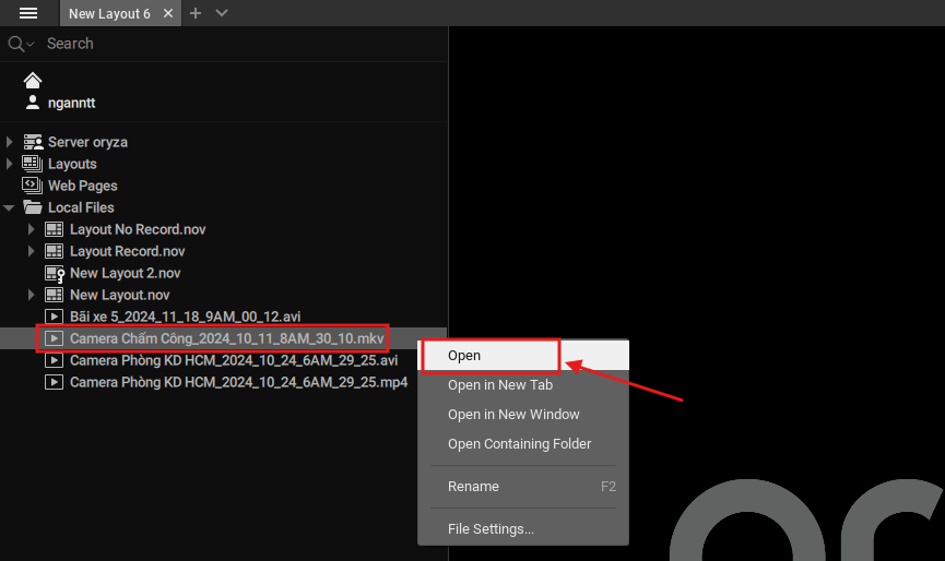 open_local_file