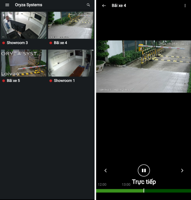play_camera
